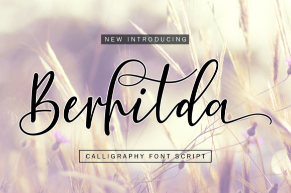 Berhilda: A Script Handwritten Font for Creative Crafters and Product Designers
