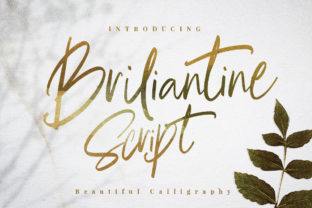 Briliantine Script for Creative Campaigns and Branding