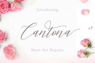 Cantona: A Script Handwritten Font for Editorial Elegance