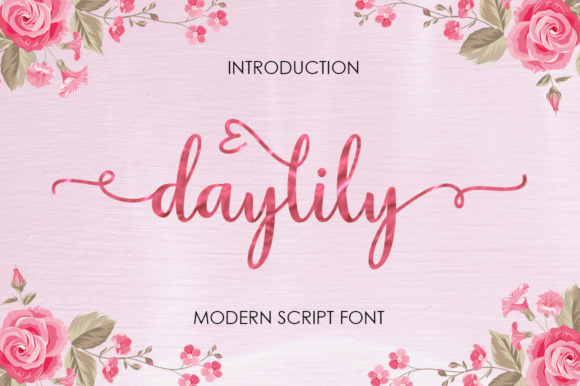 Daylily Script: A Font for Elegant Storytelling