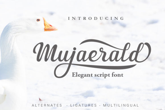 Mujaerald: A Script Font for Elegant Editorial Design