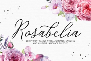 Rosabelia: A Script Font for Creative Campaigns